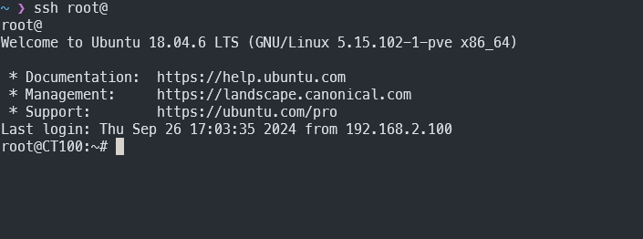 Screenshot of Ubuntu server in Proxmox