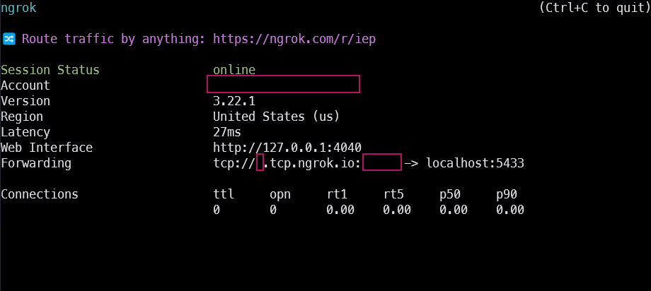 Image of ngrok tunnel